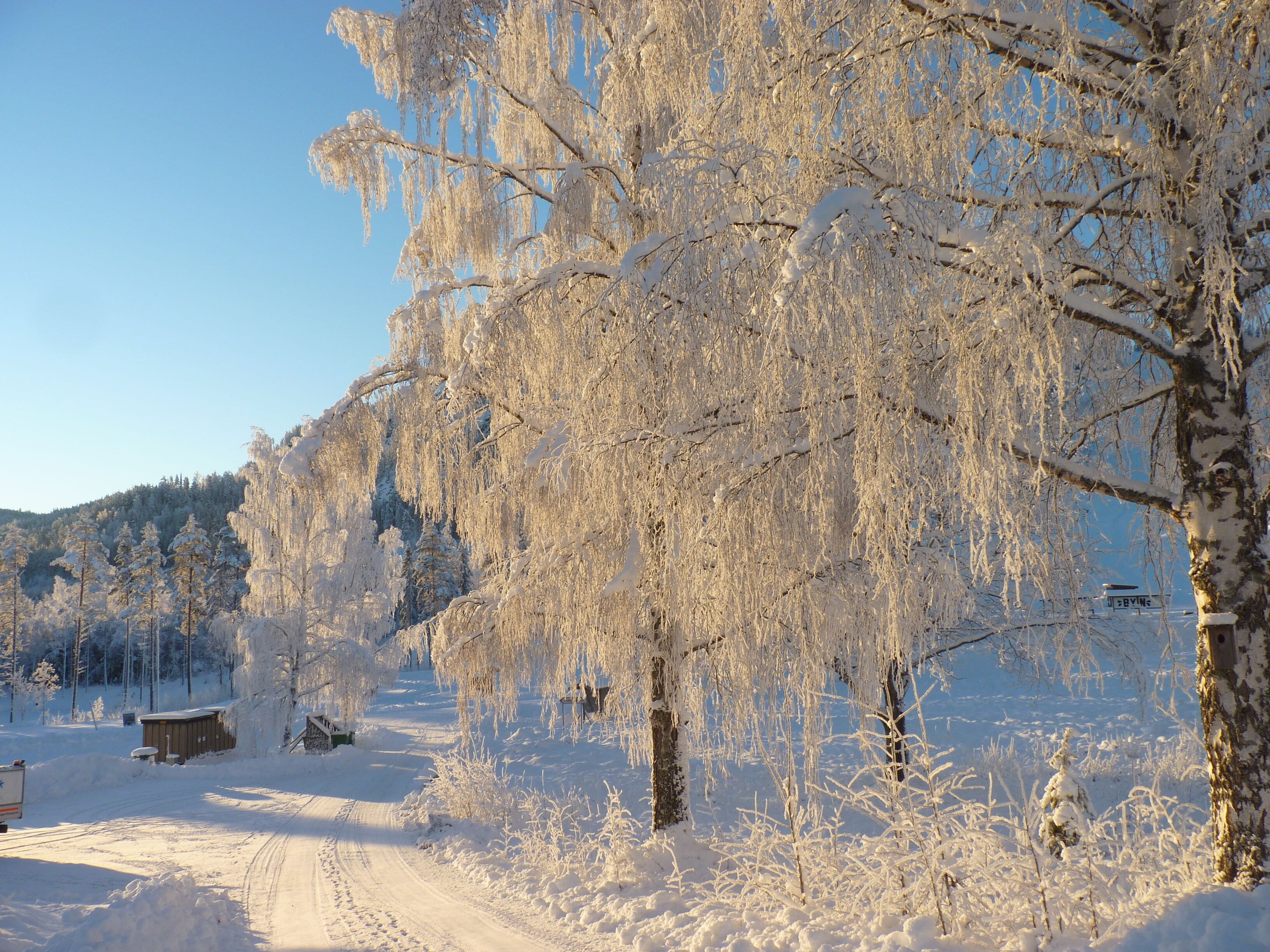 Comfort House, 2 Bedrooms, Pets Allowed, Hill View | View from room