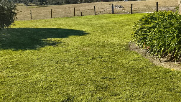 A grassy field with a fence, trees, and a building in the background.