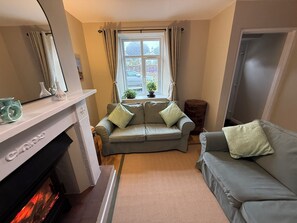 Smart TV, fireplace, books