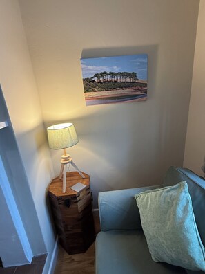 Smart TV, fireplace, books