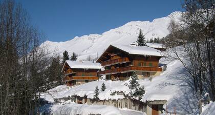 Les DIABLERETS Apartment confortable à 5 minutes du Glacier 3000