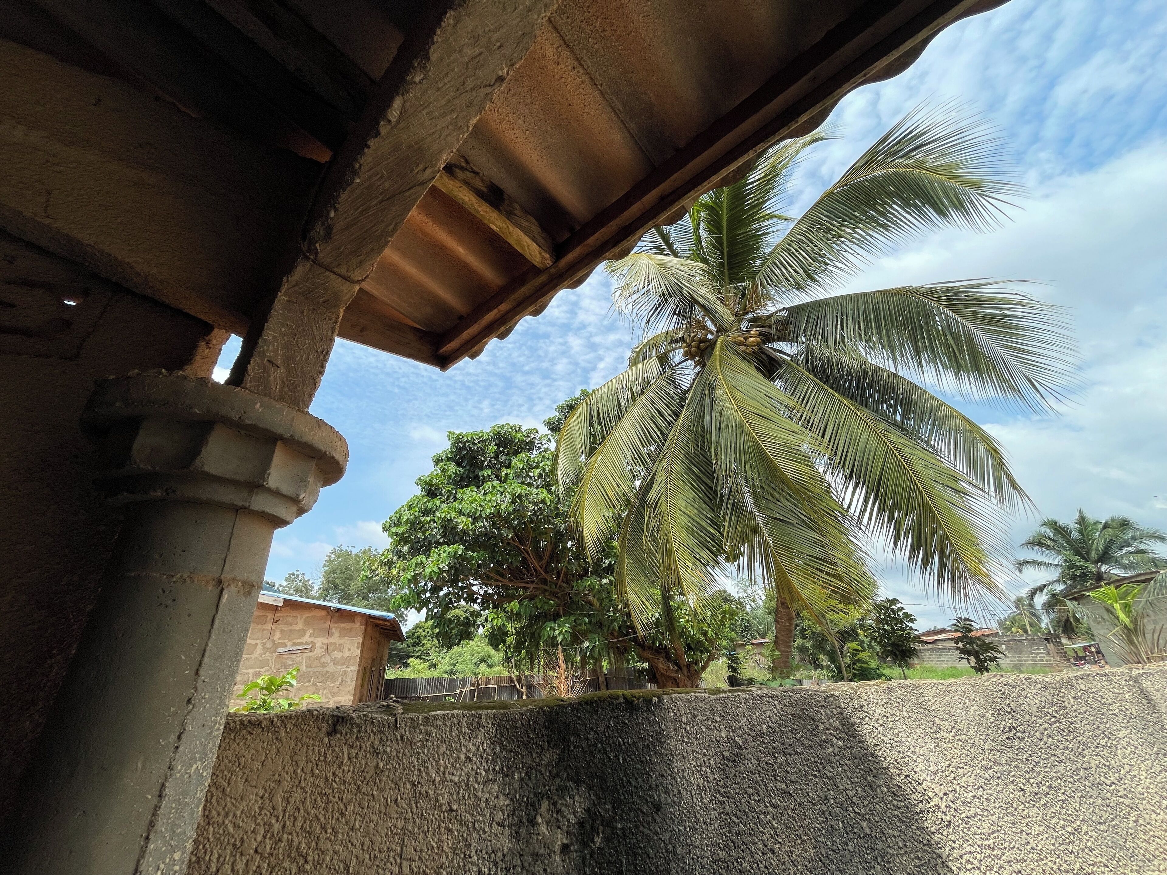 Computer monitors, printers