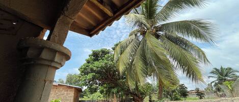 Écrans d'ordinateur, imprimantes