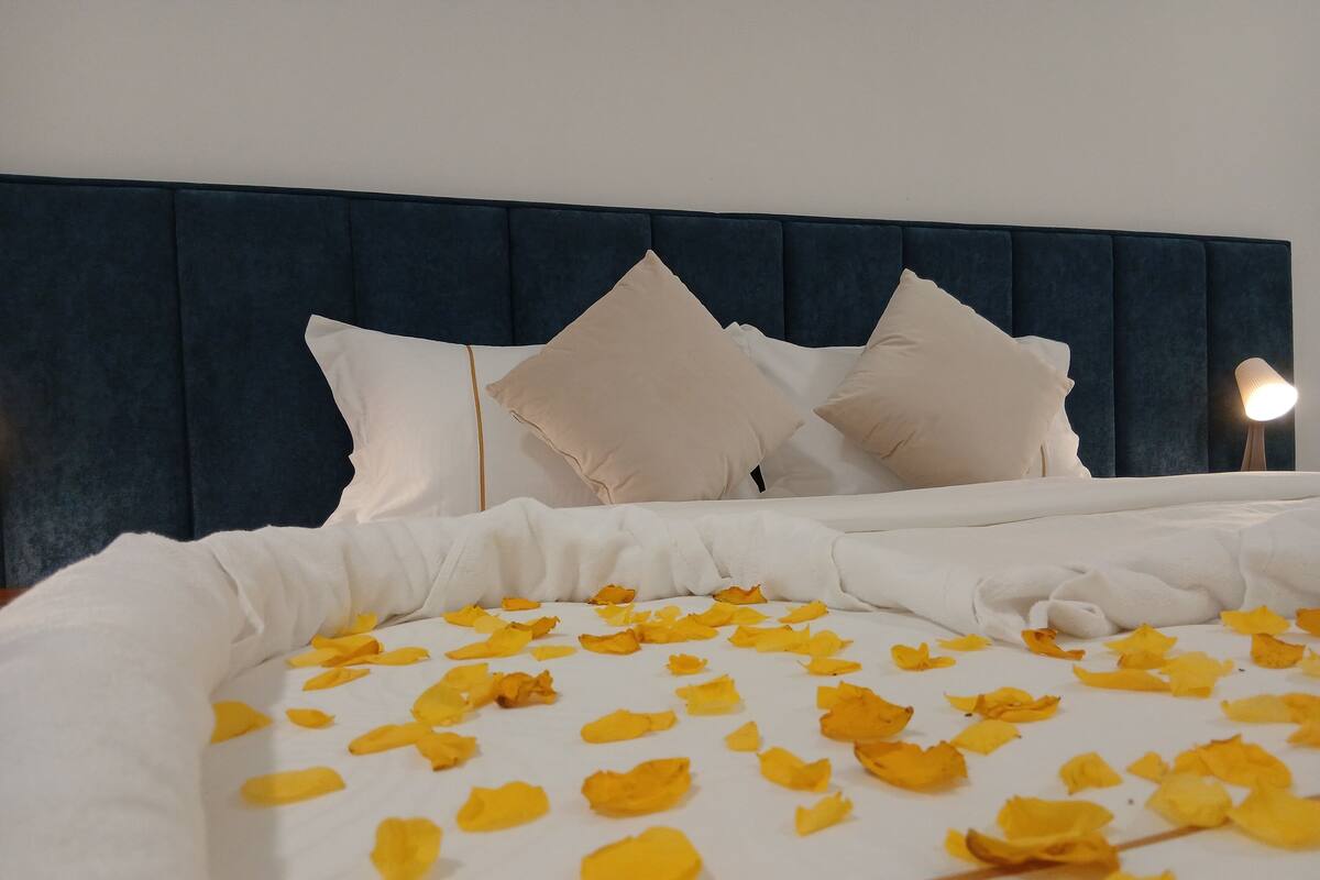 Double or Twin Room | Iron/ironing board, free WiFi