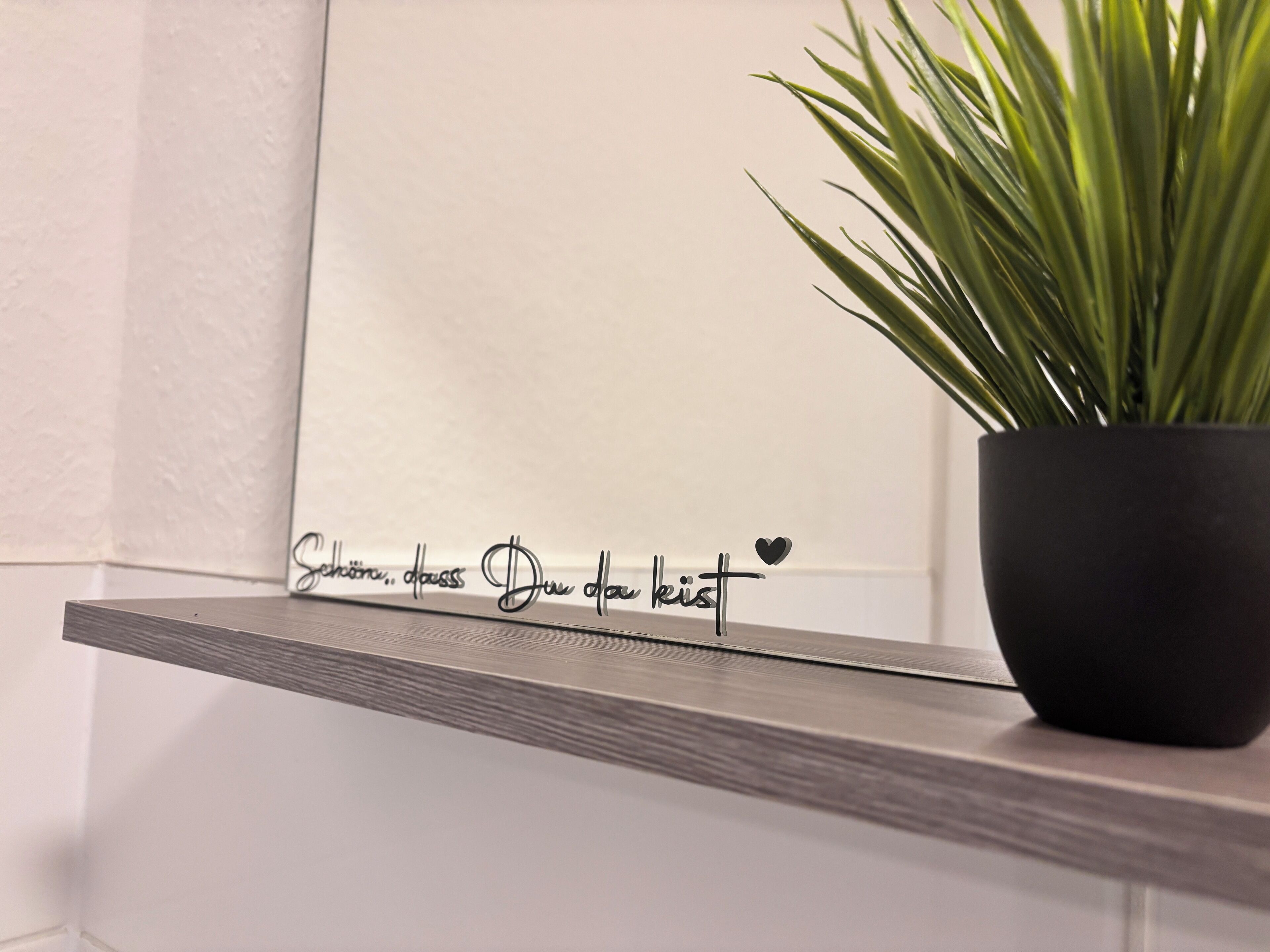 A potted plant on a shelf with a reflective surface below it.