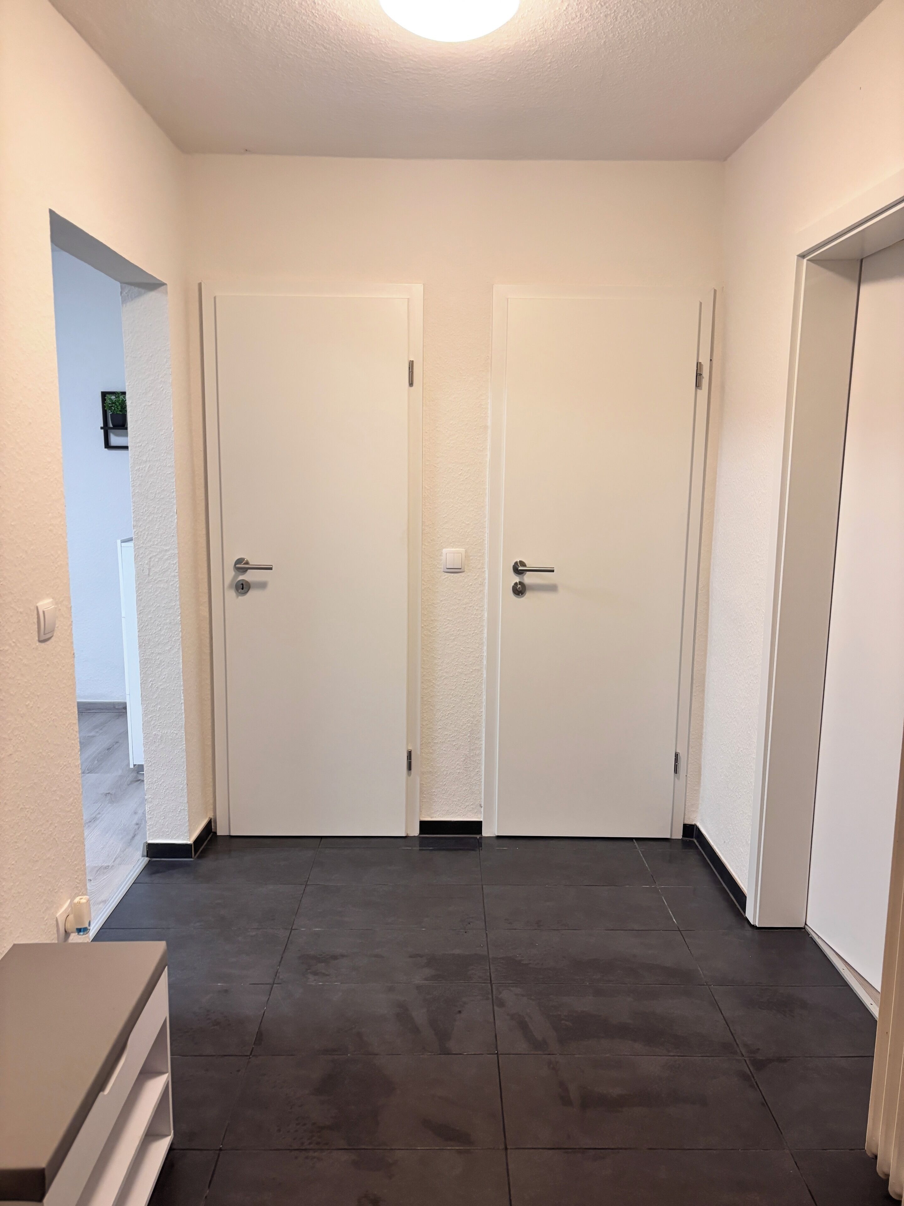 Ein Flur mit zwei weißen Türen, einer kleinen Pflanze an der linken Wand und einem Heizkörper an der rechten Wand.