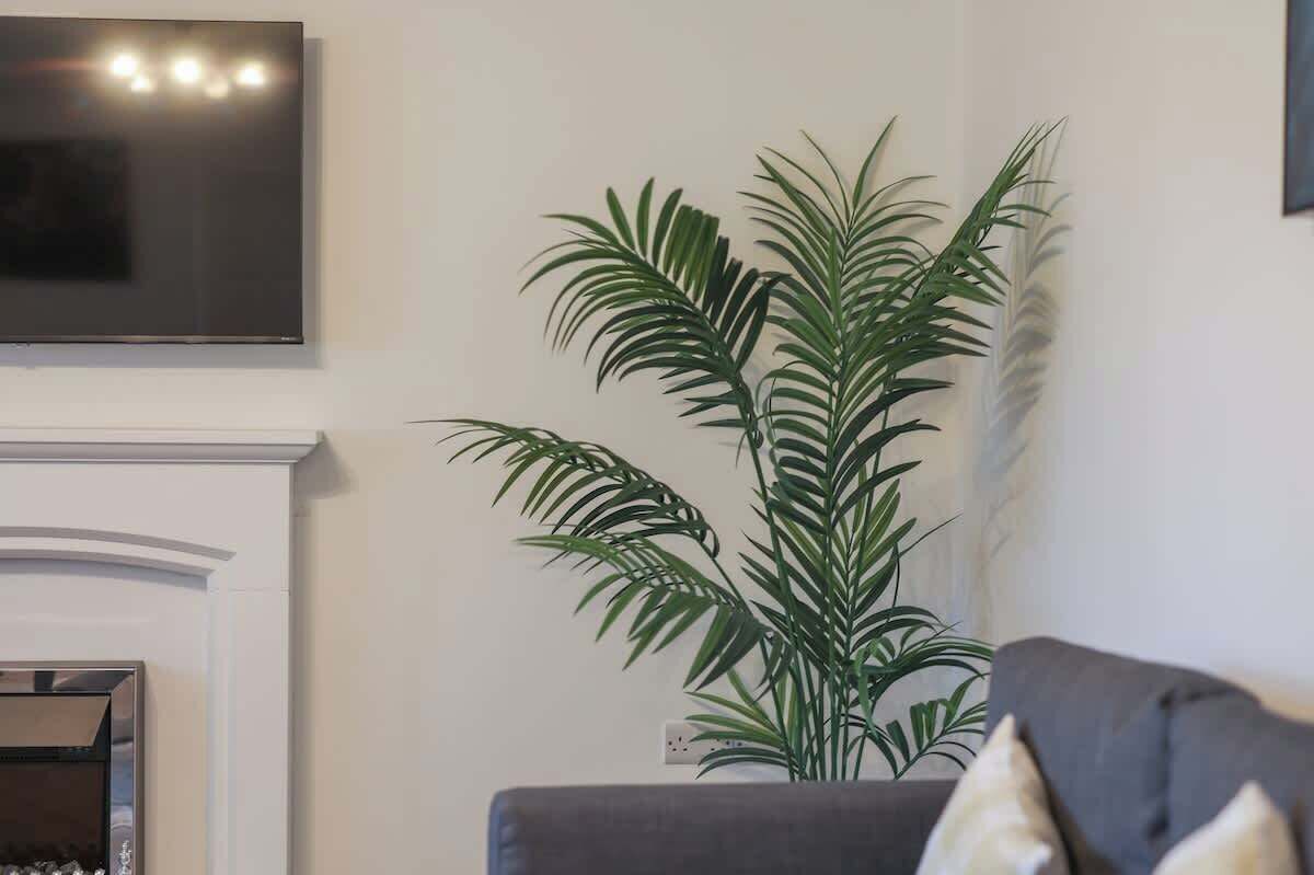 Télévision, espaces bureaux