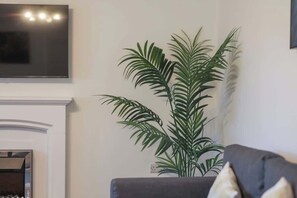 Fernseher, Arbeitsbereiche