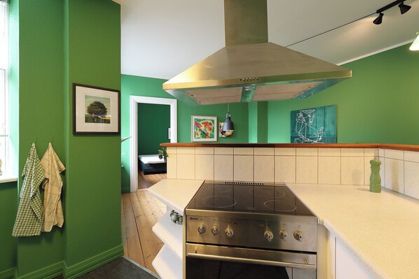 Oven, stovetop, dishwasher