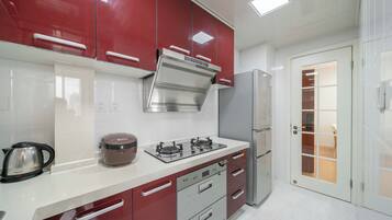 Superior Apartment, 2 Bedrooms, City View | Private kitchen