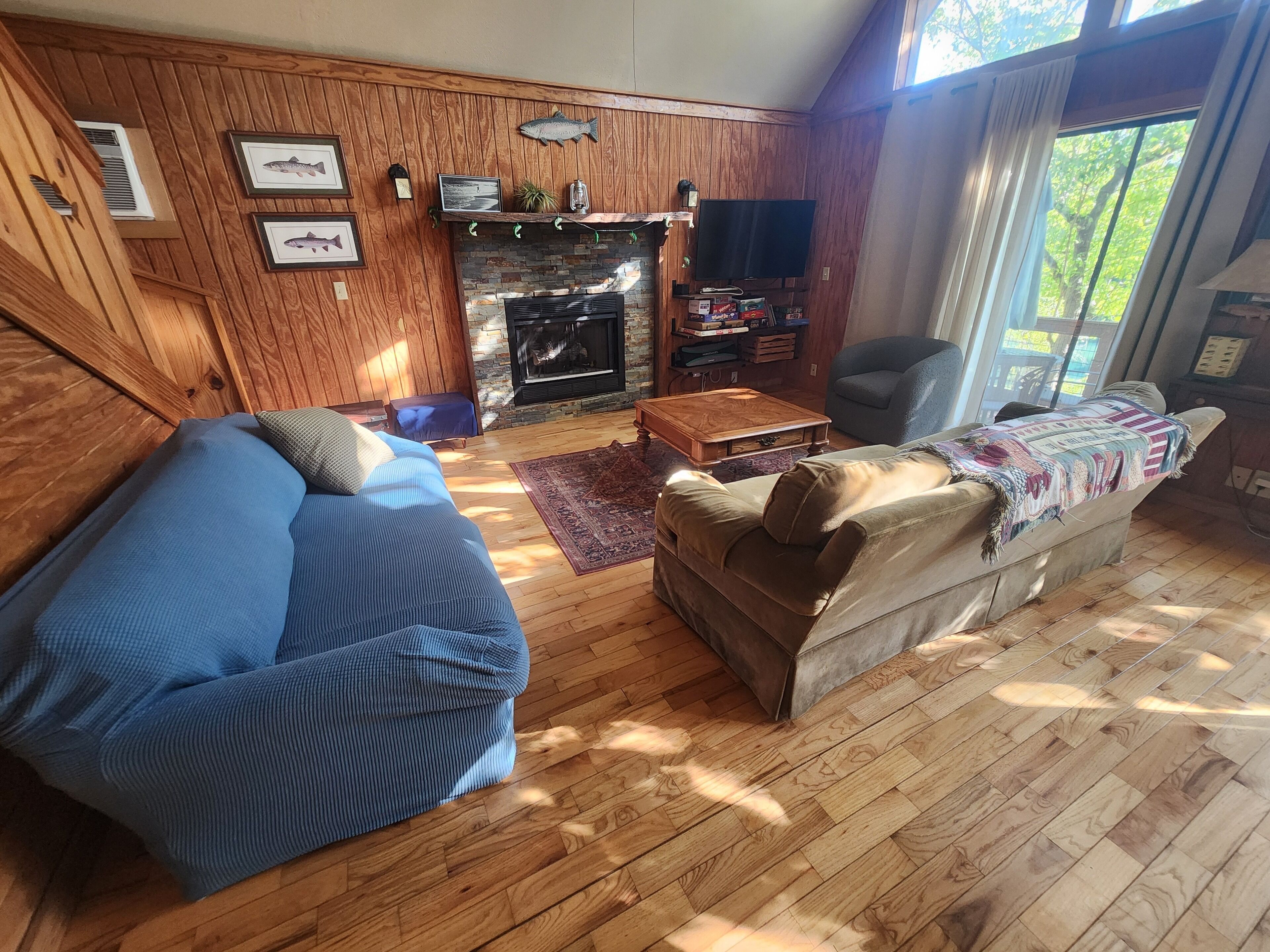 Smart TV, fireplace, books