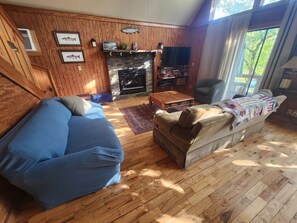 Smart TV, chimenea y libros 