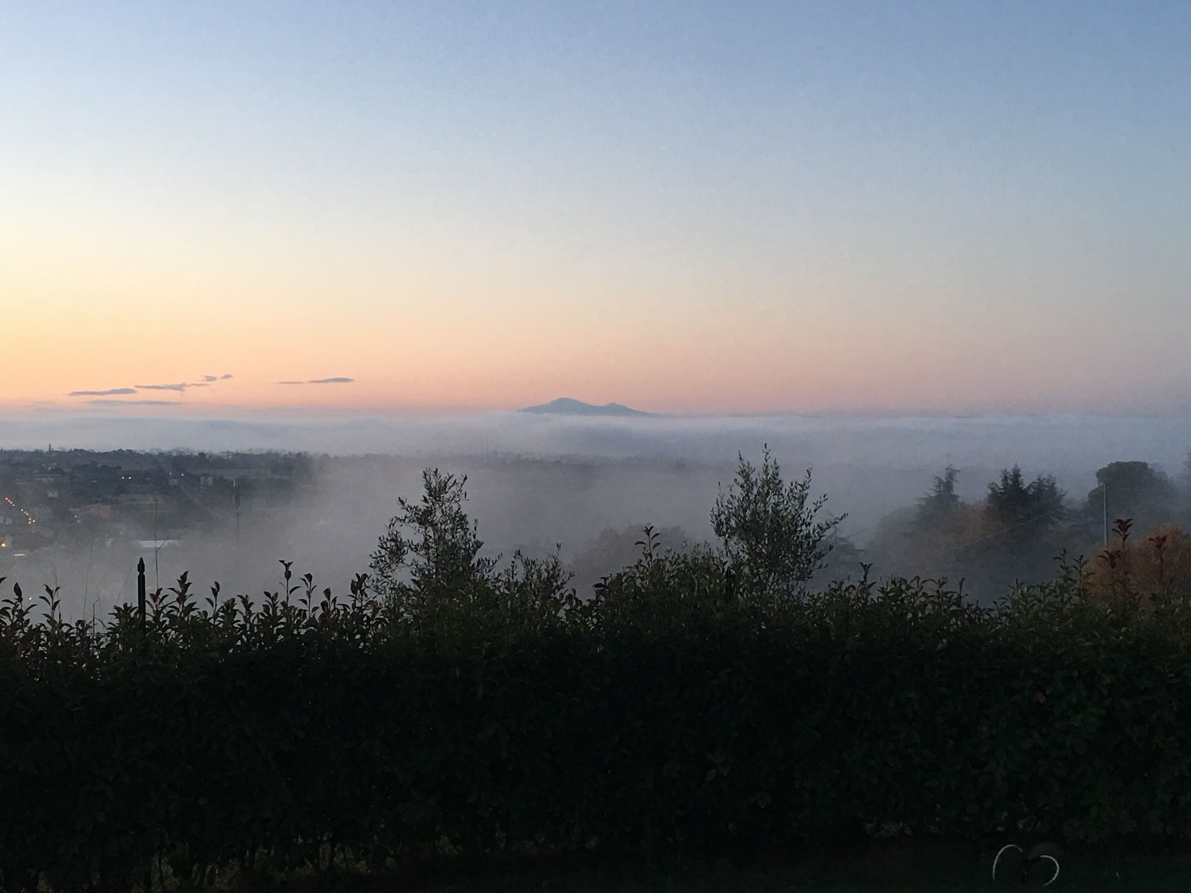 A foggy landscape with a mountain in the distance and a dense forest in the foreground.