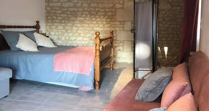  House "L'Atelier de René" Terrace & private parking 10 min from Futuroscope