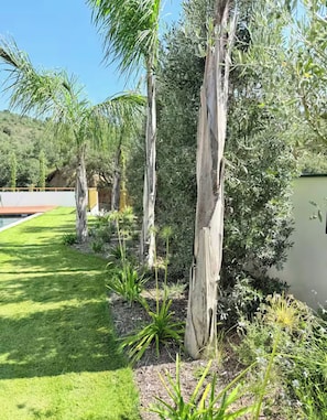 A landscaped garden with a pool, trees, and a view of a body of water.