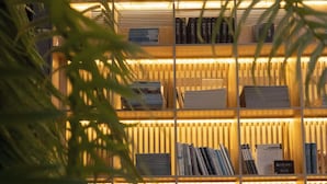 A well-lit bookshelf with books and decorative items, surrounded by greenery. - Wangshanlife Snow Garden Design Hotel (Huangshan)