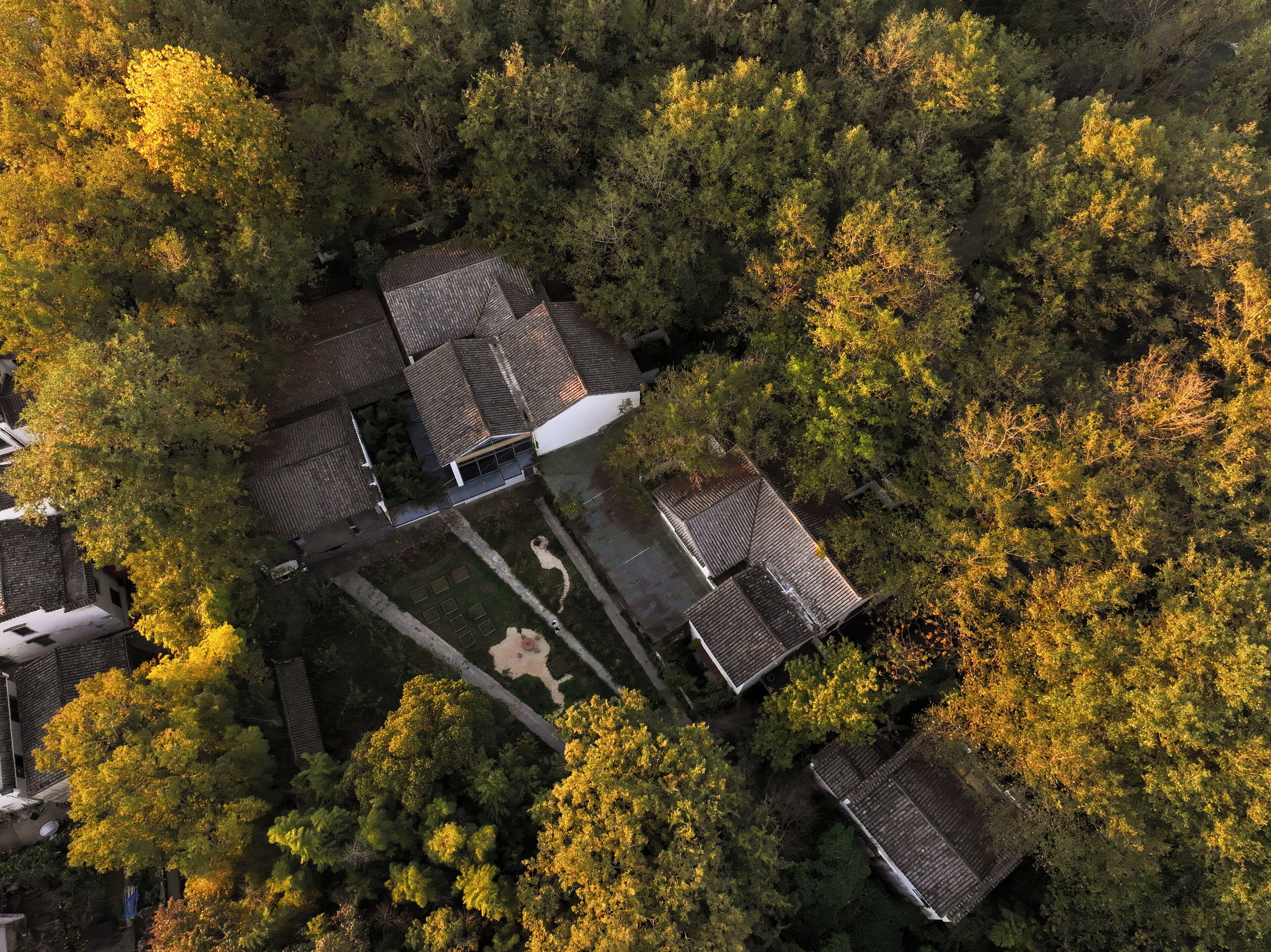 An aerial view of a residential area with multiple houses surrounded by dense trees.