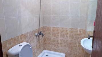 Shower, towels, toilet paper