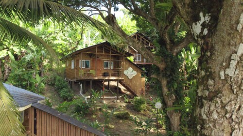 SEA GLASS HOUSE: Waterfront, Caribbean Island Jungle Cabin in Bastimentos w/ AC