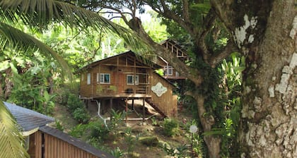 SEA GLASS HOUSE: Waterfront, Caribbean Island Jungle Cabin in Bastimentos w/ AC