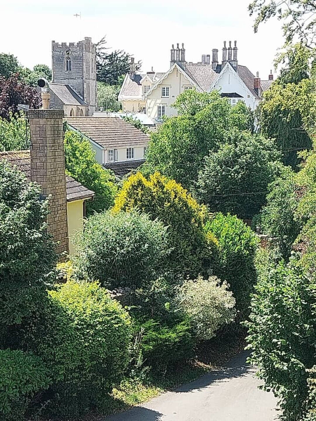 A narrow road flanked by lush greenery and traditional houses with distinct architectural features.