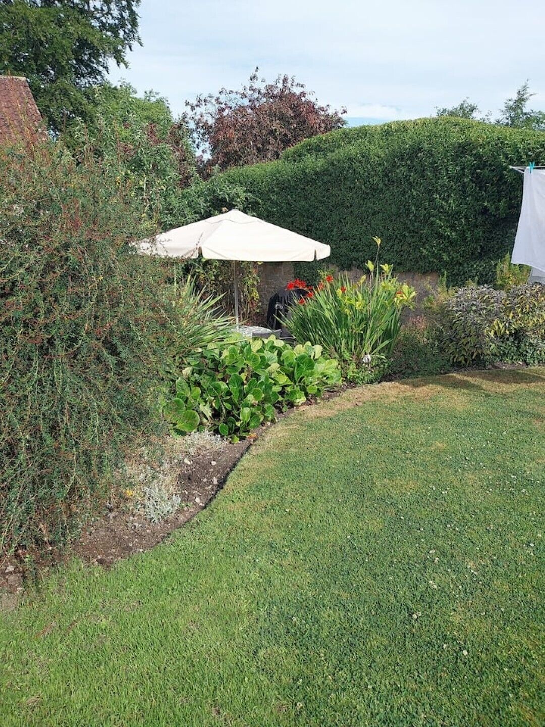 Un jardin avec un parasol blanc, une table et différentes plantes.