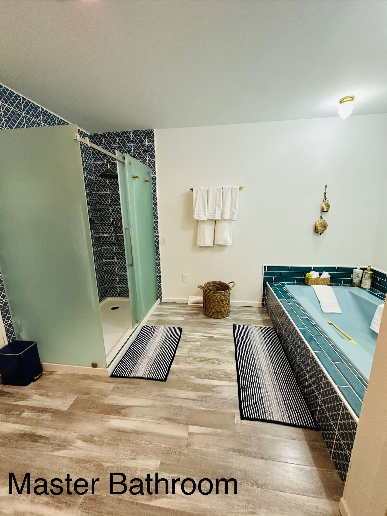 Shower, jetted tub, hair dryer, towels