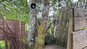 Une terrasse en bois avec un chemin de pierre menant à un banc en bois.