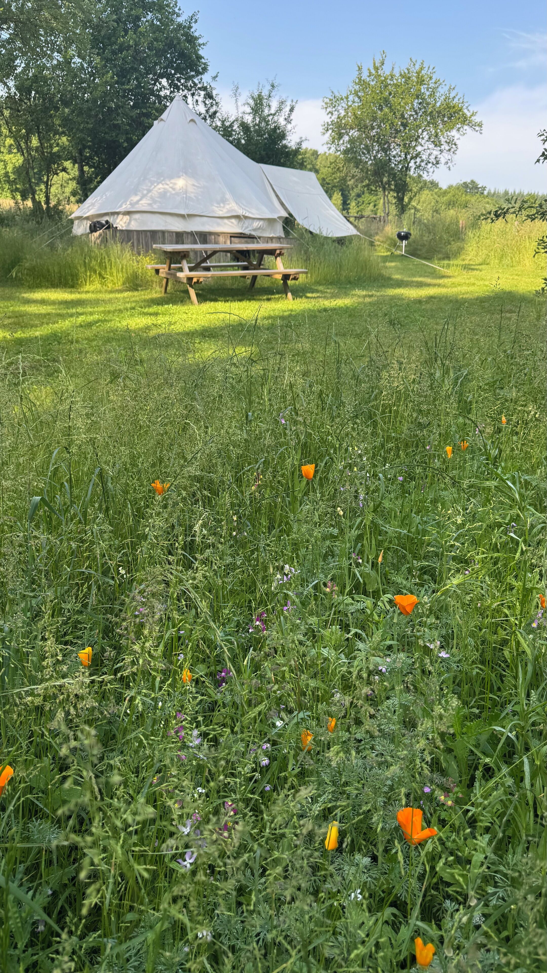 Een tent met een picknicktafel in een grasveld vol bloemen.