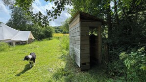 Une niche en bois pour chien, située dans un espace herbeux, avec une tente en arrière-plan.