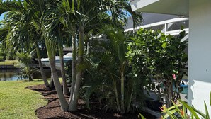A well-maintained garden with palm trees and flowering plants, a swimming pool, and a white building with a covered patio. - 3/2 Luxury Waterfront Pool Home (Punta Gorda)