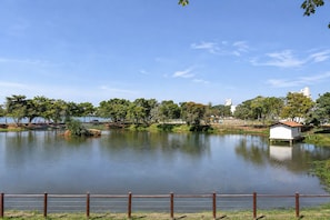 Vistas desde la habitación