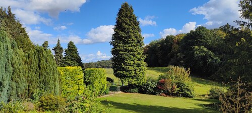 🌿 for hiking and relaxing in the Westerwald – dogs welcome!