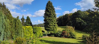 🌿 for hiking and relaxing in the Westerwald – dogs welcome!