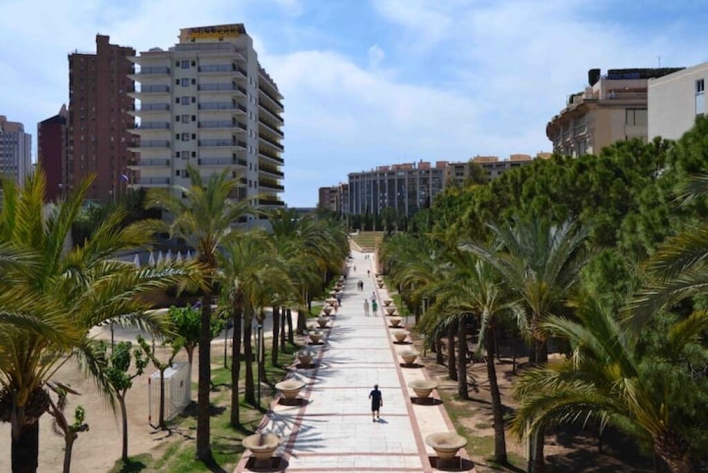 Un long chemin rectiligne, bordé de palmiers et de grands jardinières, qui mène à un immeuble moderne de grande hauteur.