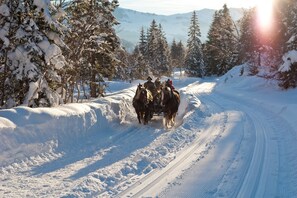 Deportes de invierno y ski