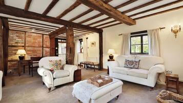 Smart TV, fireplace, DVD player, books