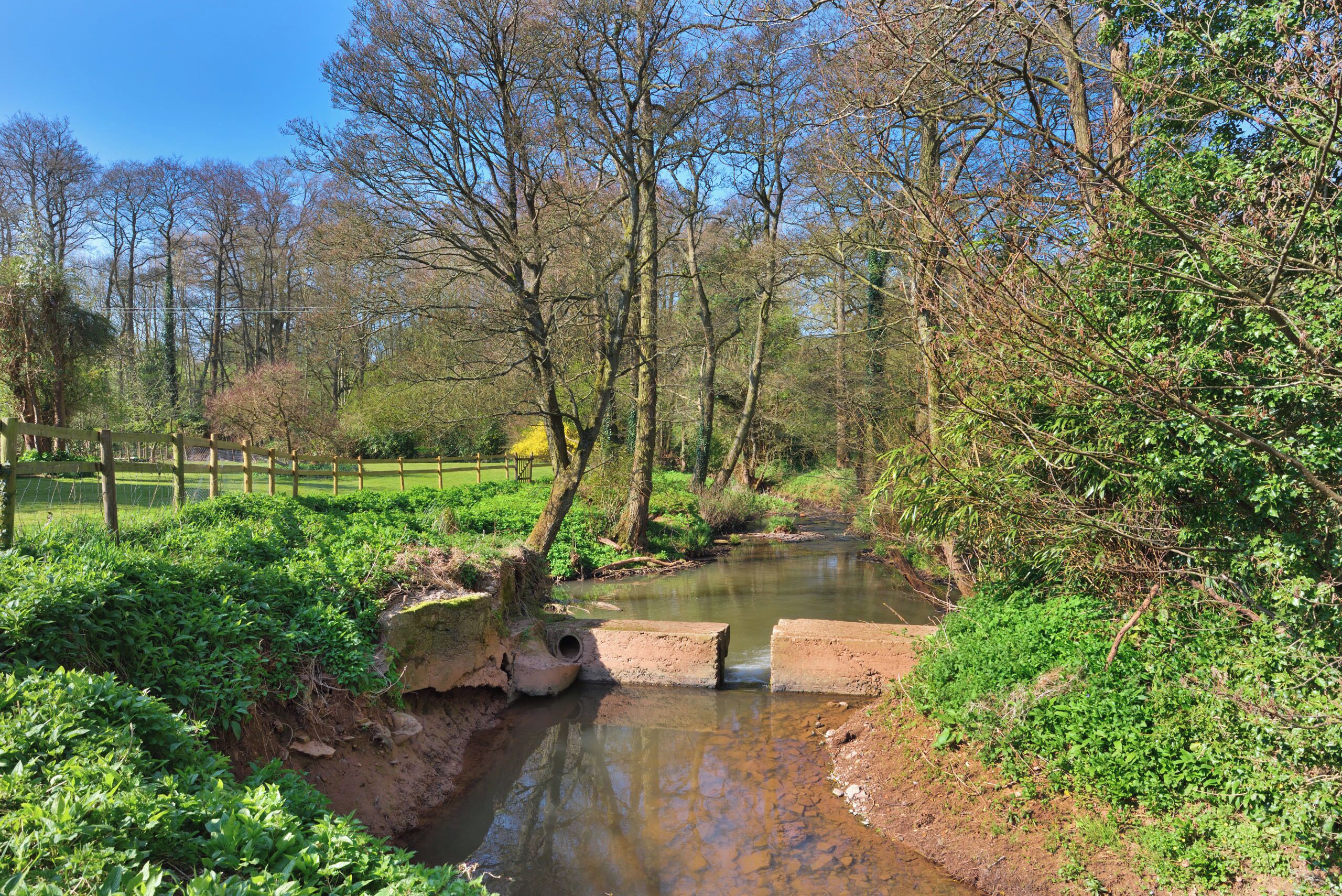 A natural landscape with a stream, trees, and a wooden fence.