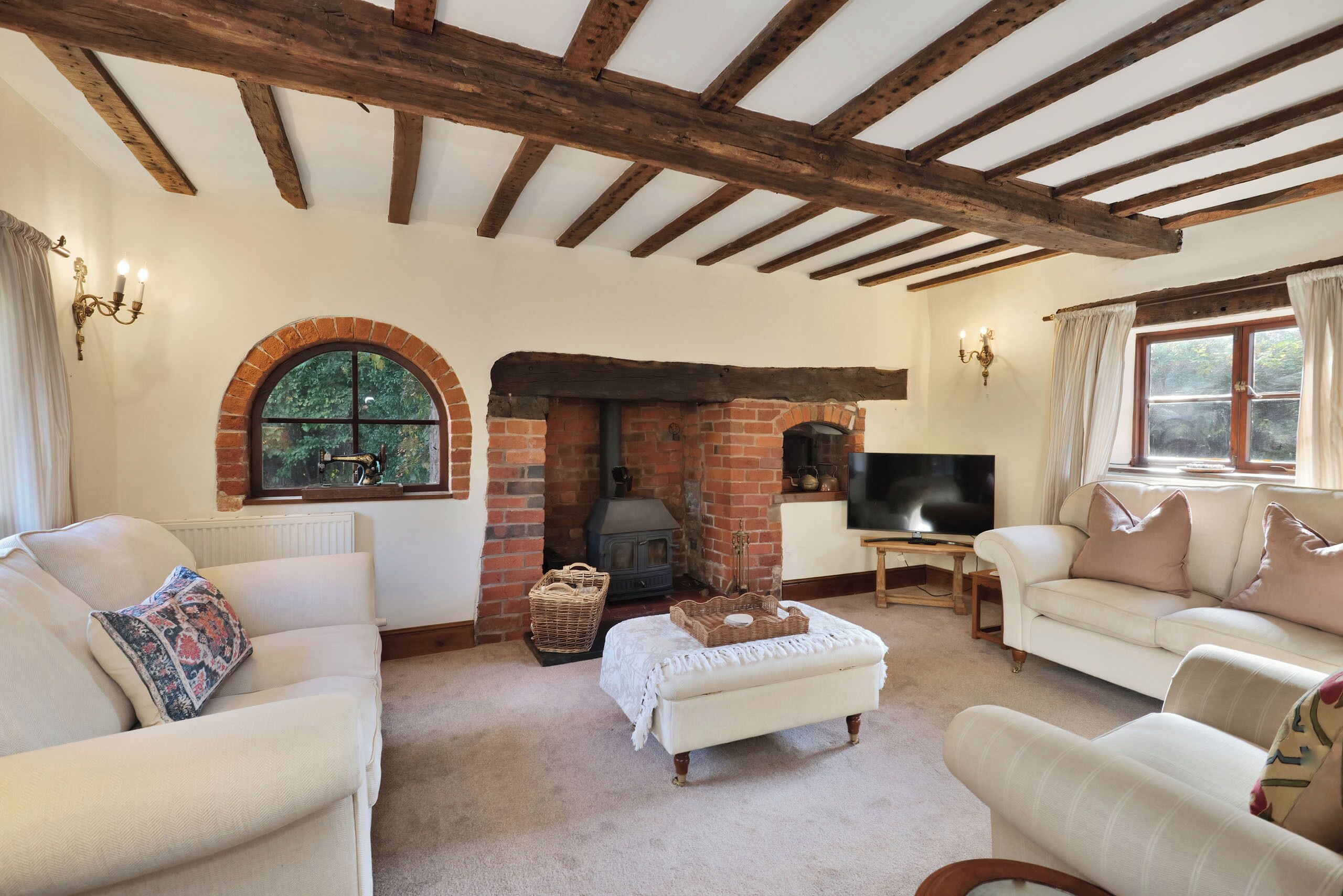 TV connectée, cheminée, lecteur de DVD, livres