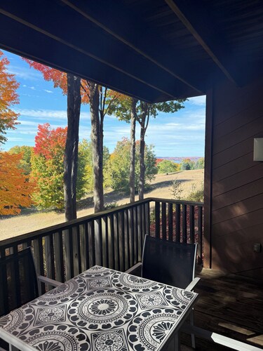 Relaxing Bellaire condo with scenic views! Just minutes from downtown and Short’s Brewery. Enjoy easy Beach club access, cozy evenings by the fireplace, and all the charm of Northern Michigan.
