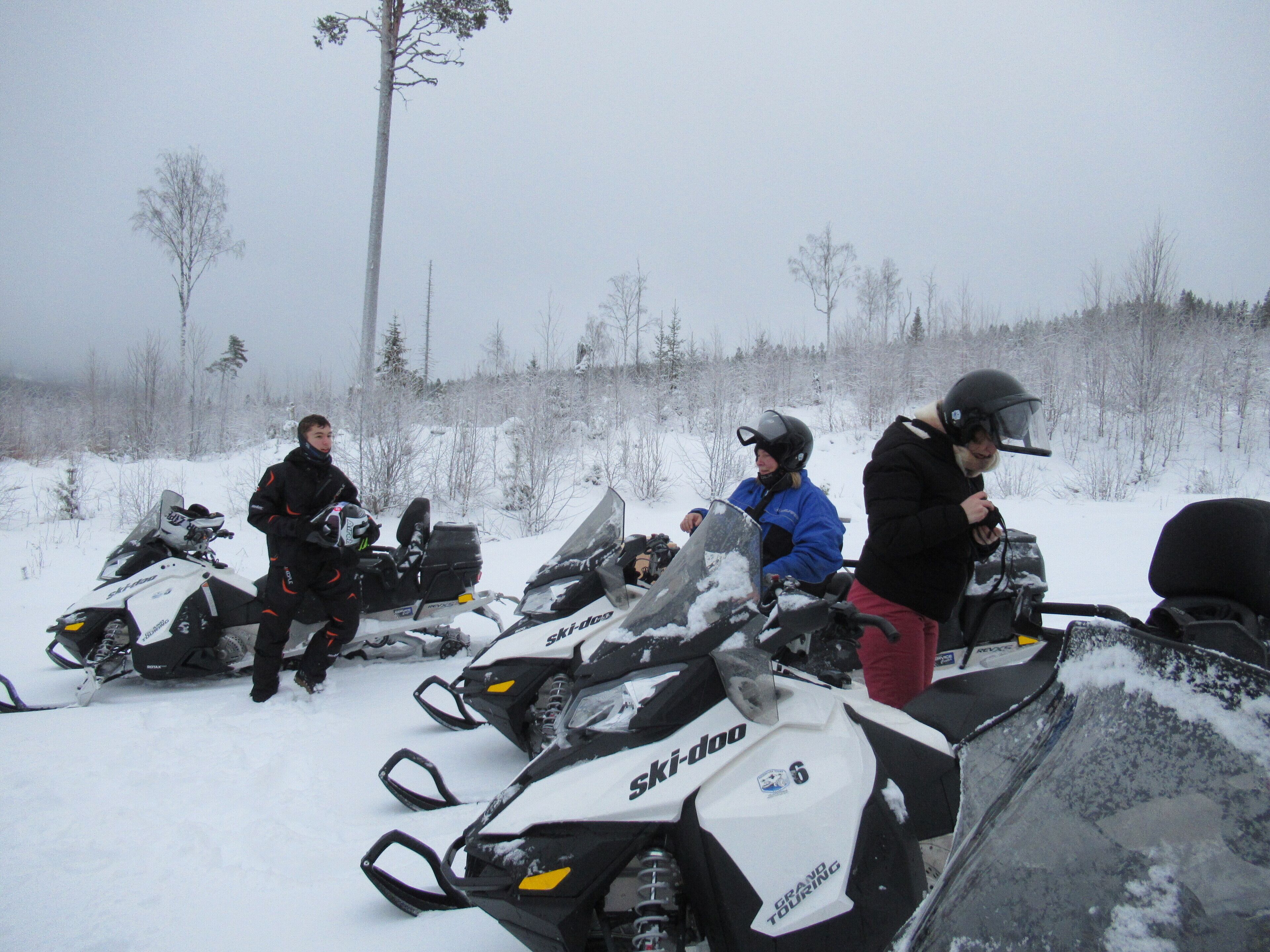 A group of snowmobiles parked in a snowy area.