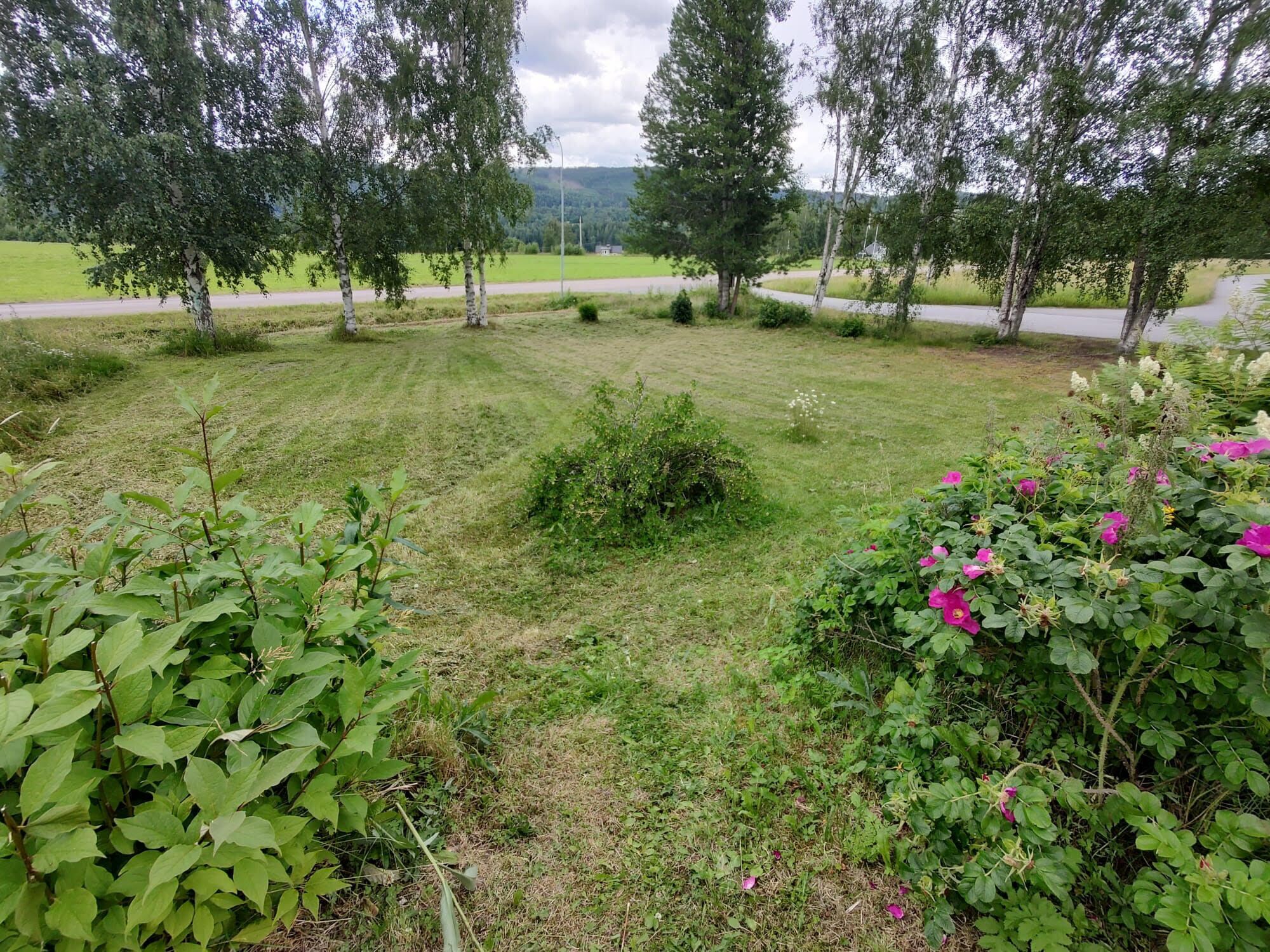 Quang cảnh nhìn từ nơi lưu trú