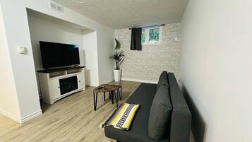 Smart TV, fireplace, books