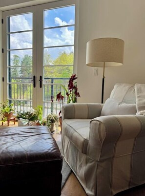 Smart TV, DVD player, books