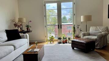 TV connectée, lecteur de DVD, livres