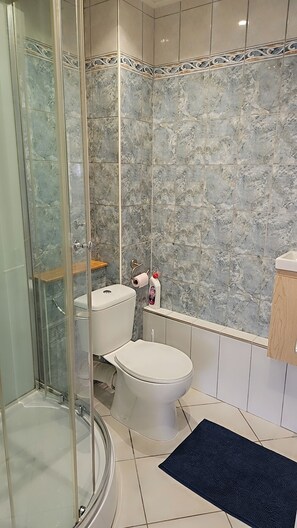 Hair dryer, towels, toilet paper