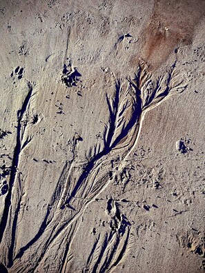 Miscellaneous - A Northumbrian Seaside home with links to Northumberland’s beautiful sights. (Newbiggin-by-the-Sea)