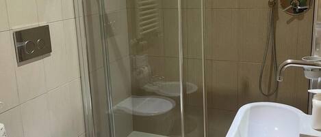 Shower, hair dryer, bidet, towels