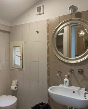 Shower, hair dryer, bidet, towels