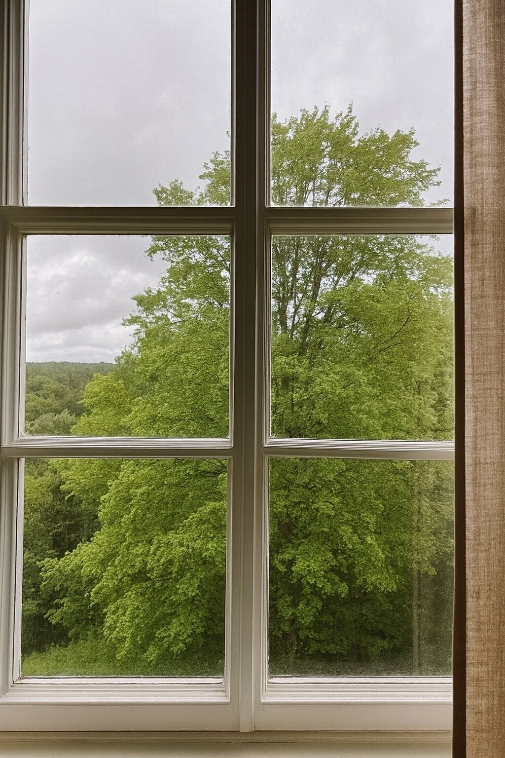 Habitación individual básica, 1 cama individual